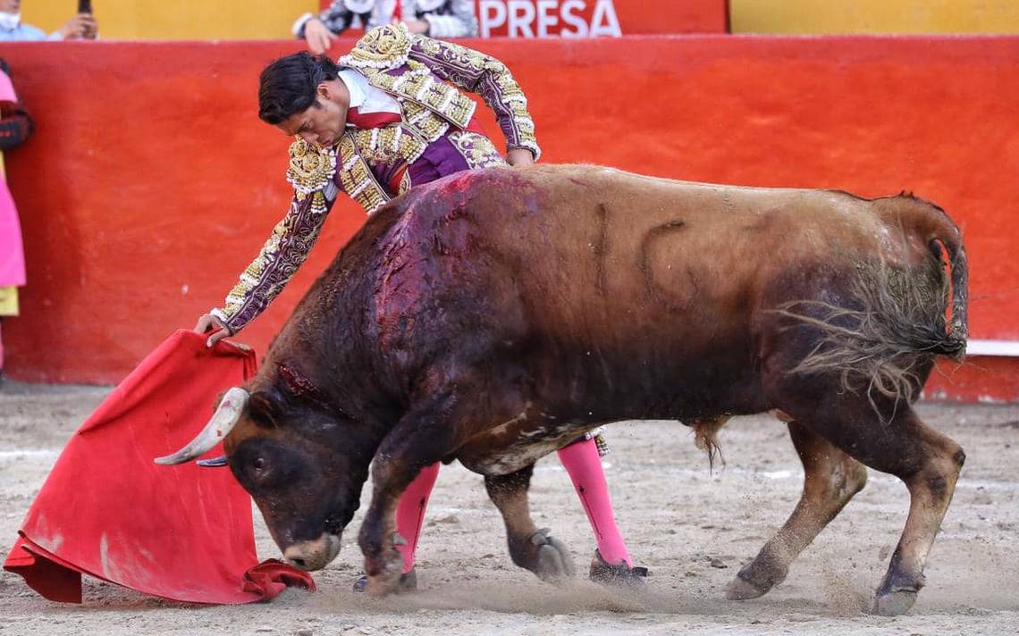 Presentan cartel para corrida en honor a la Virgen de la Luz en León - El  Sol de León | Noticias Locales, Policiacas, sobre México, Guanajuato y el  Mundo