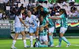 Se observa a las jugadoras en cancha