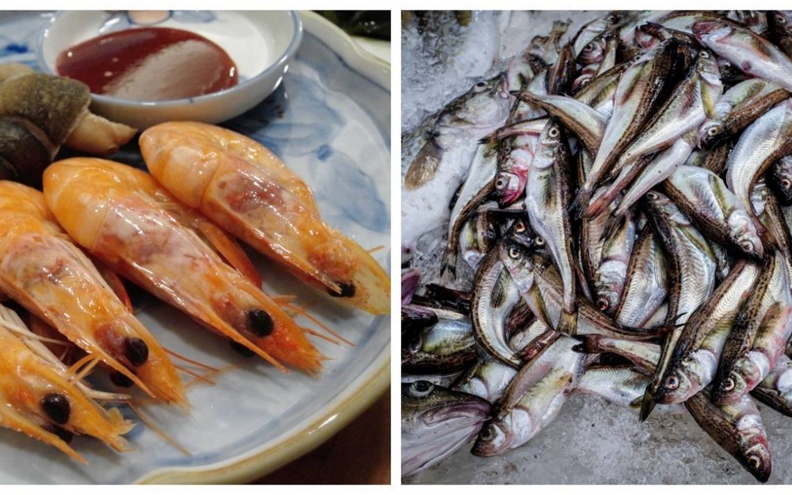 Cómo elegir pescado fresco y de calidad