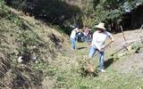 Apoyos a empleo temporal y abastecimiento de negocios, durante contingencia sanitaria