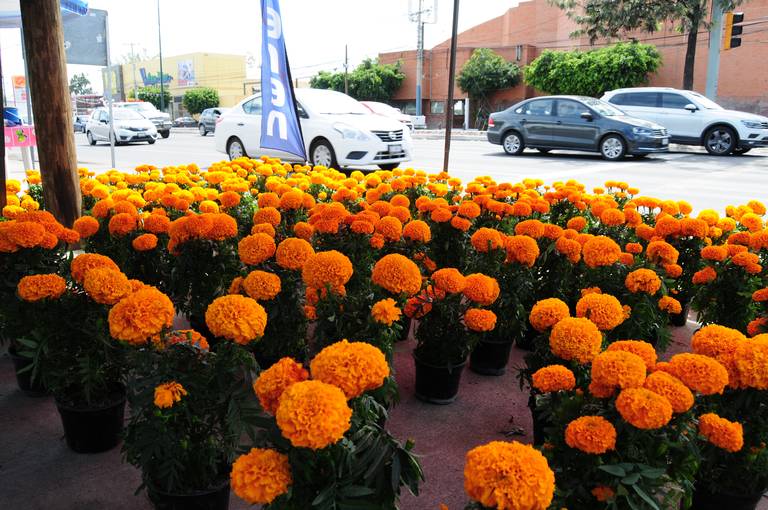 Floristas se esfuerzan por no aumentar precio a clientes - El Sol de León |  Noticias Locales, Policiacas, sobre México, Guanajuato y el Mundo