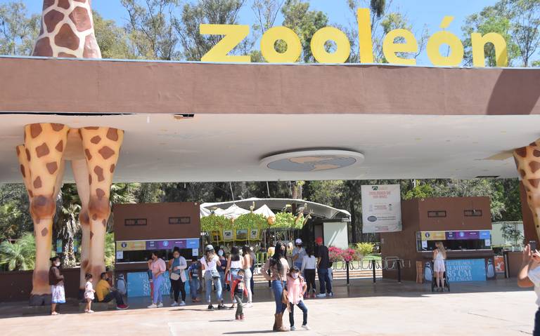 Después de un año sin salir, familias acuden al Zoológico de León pandemia  coronavirus covid-19 - El Sol de León | Noticias Locales, Policiacas, sobre  México, Guanajuato y el Mundo