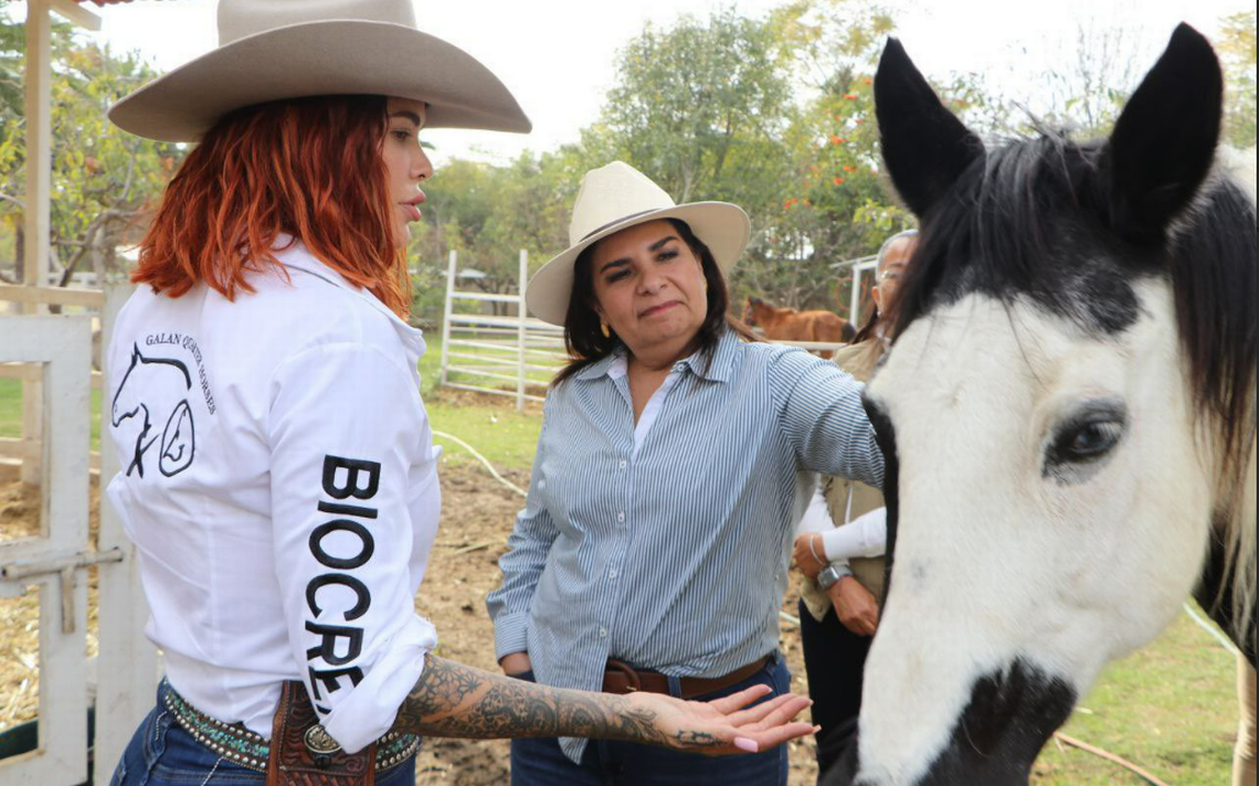 Abusador potranca Mila Beatriz Manrique Santuario de caballos Cuacolandia  León Puebla - El Sol de León | Noticias Locales, Policiacas, sobre México,  Guanajuato y el Mundo