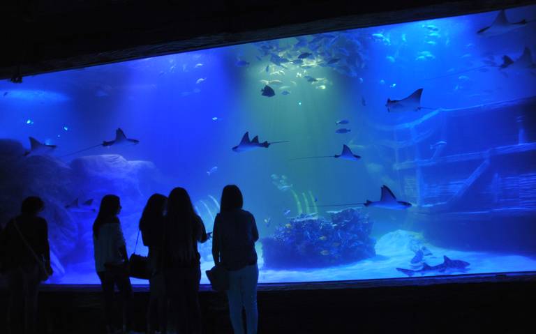 Luz de acuario -  México