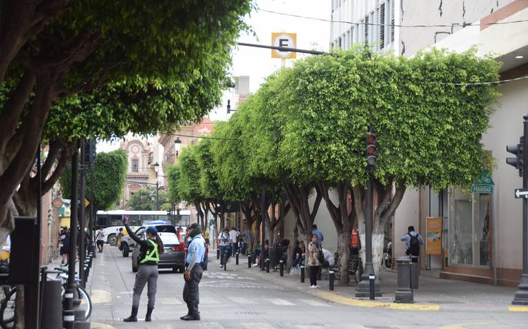 Presentan acciones y proyectos en materia de arbolado urbano - El Sol de  León | Noticias Locales, Policiacas, sobre México, Guanajuato y el Mundo