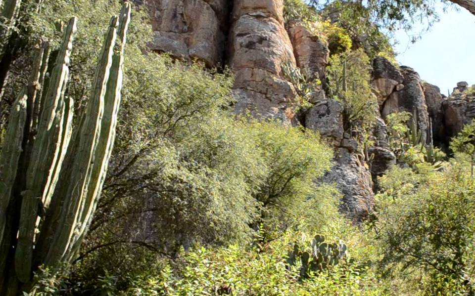 Después de la pandemia, el ecoturismo es una buena opción - El Sol de León  | Noticias Locales, Policiacas, sobre México, Guanajuato y el Mundo