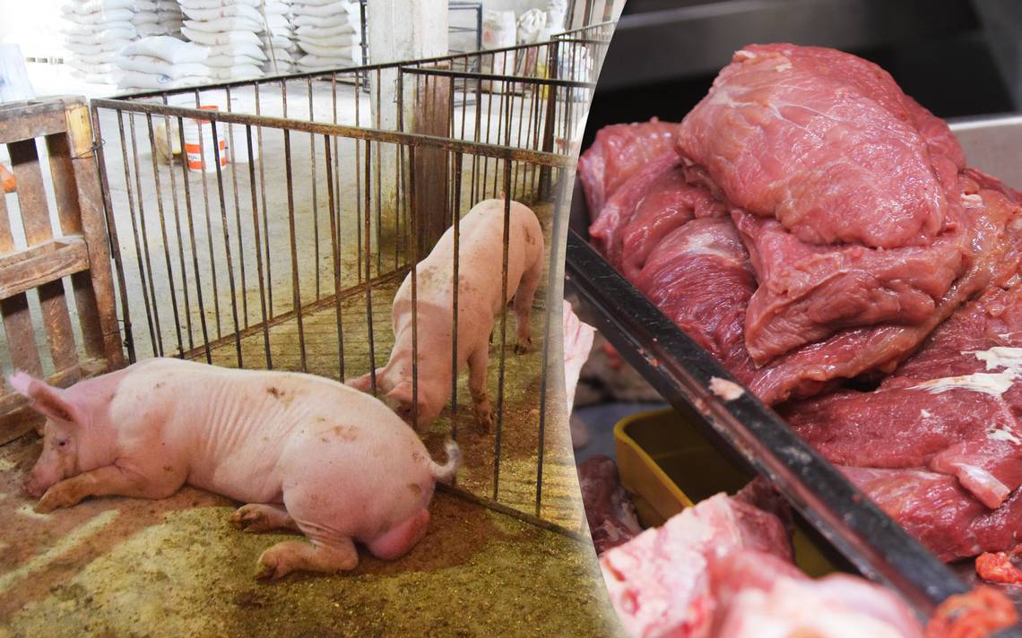 Carnicerías aumentan el precio de la carne de puerco en Guanajuato El