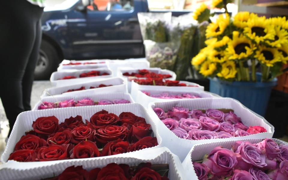 Florerías estiman incremento de ventas hasta de un 80% para Día de las  Madres - El Sol de León | Noticias Locales, Policiacas, sobre México,  Guanajuato y el Mundo