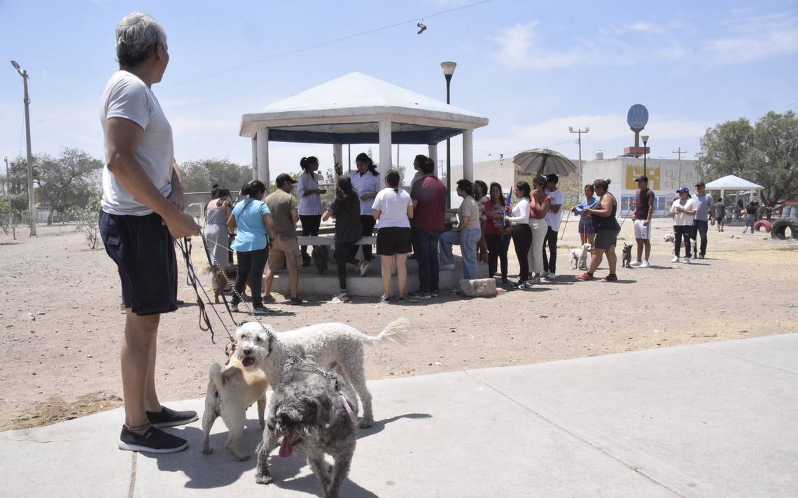 “Free Anti-Rabies Vaccination for Pets in León, Guanajuato by Guanajuato Health System”